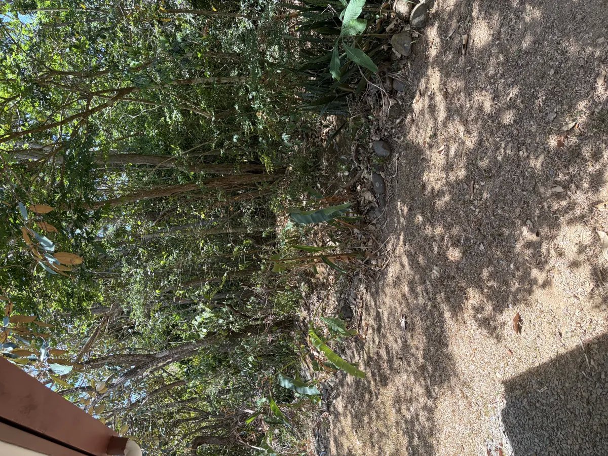 Villa in Boca Chica for sale