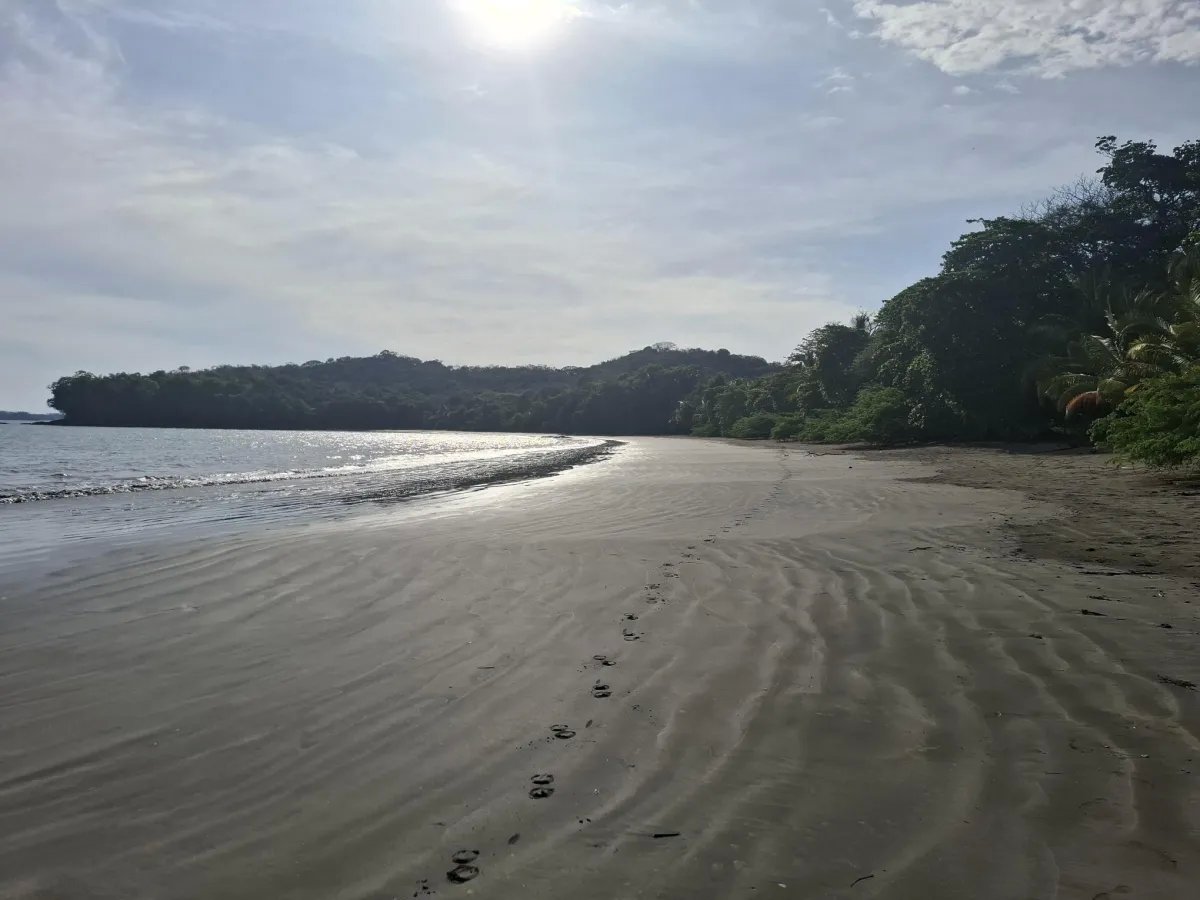 Private Oceanview Island Estate with Beach Access | Boca Chica, Chiriquí