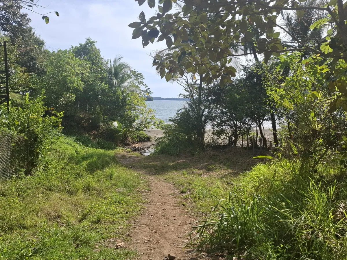 Private Oceanview Island Estate with Beach Access | Boca Chica, Chiriquí