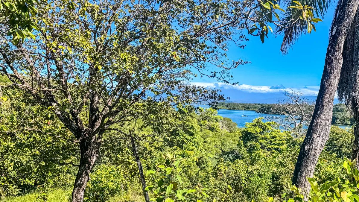 Private Oceanview Island Estate with Beach Access | Boca Chica, Chiriquí
