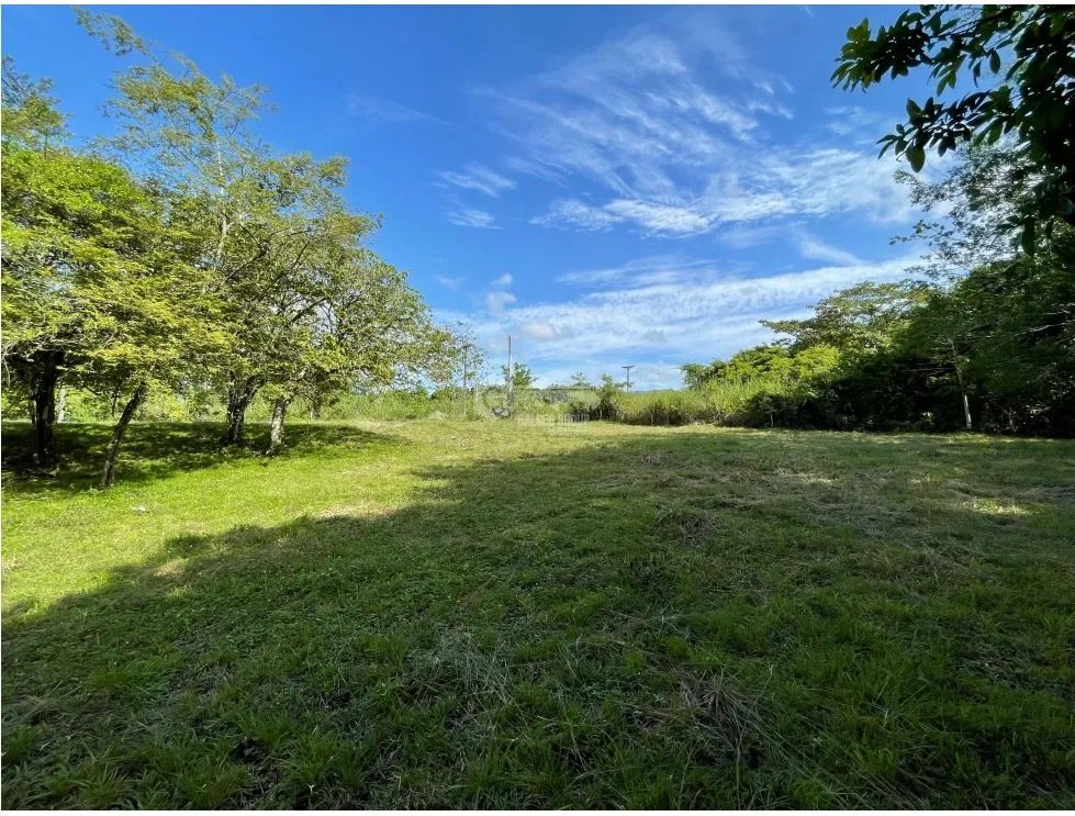 SE VENDE TERRENO EN CERRO AZUL 2822M PLANO CLIMA FRIO EN ZONA PRIVADA