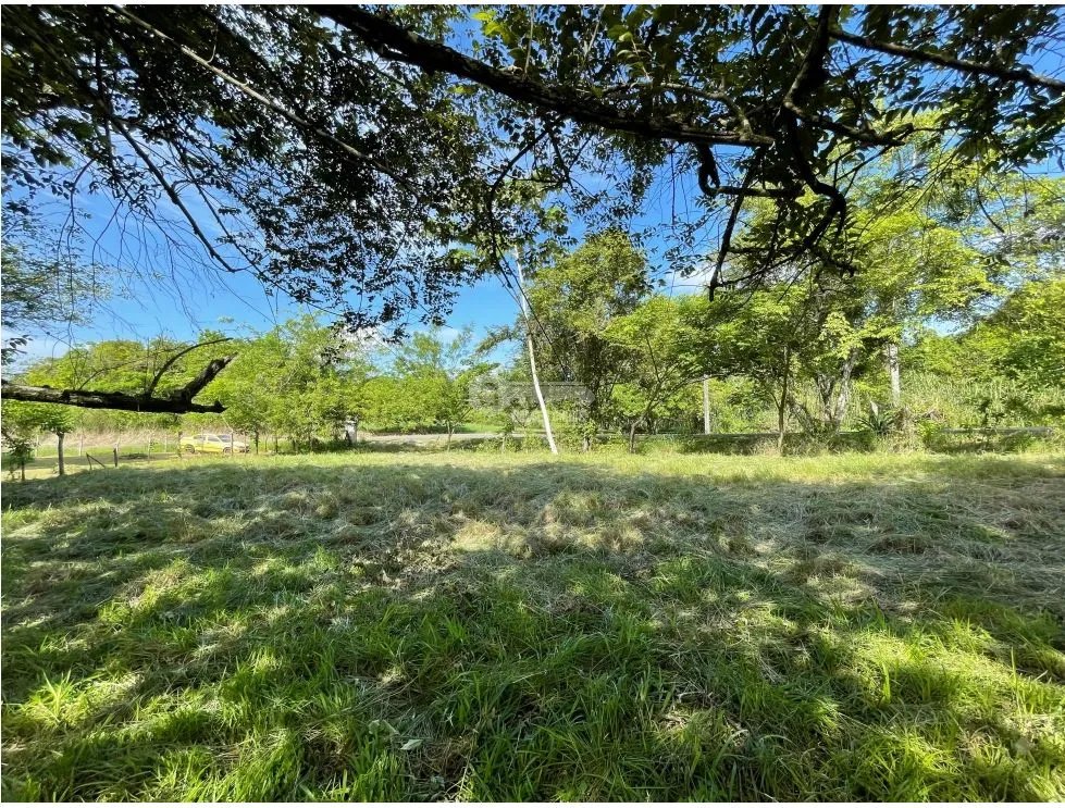 Building Lot for sale in Cerro Azul