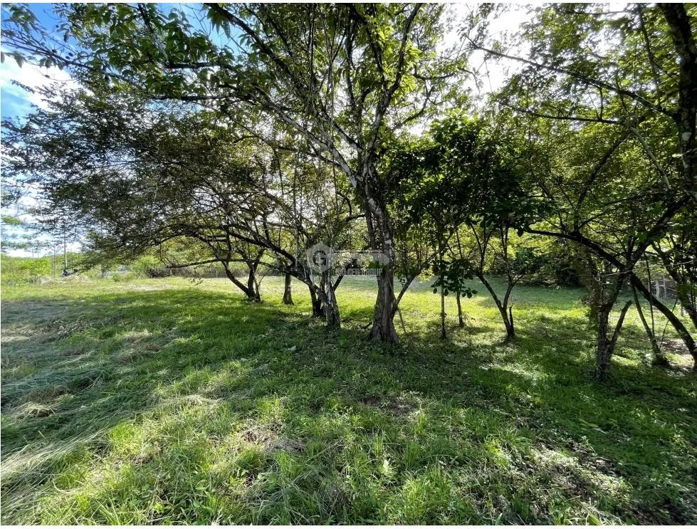Building Lot for sale in Cerro Azul