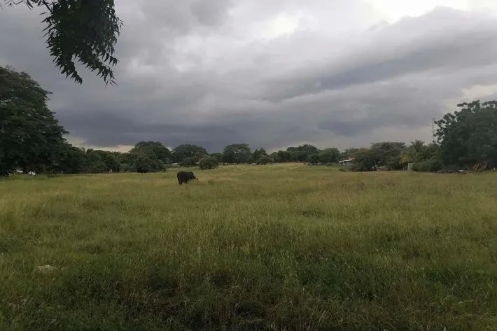 Land for sale in Chitre
