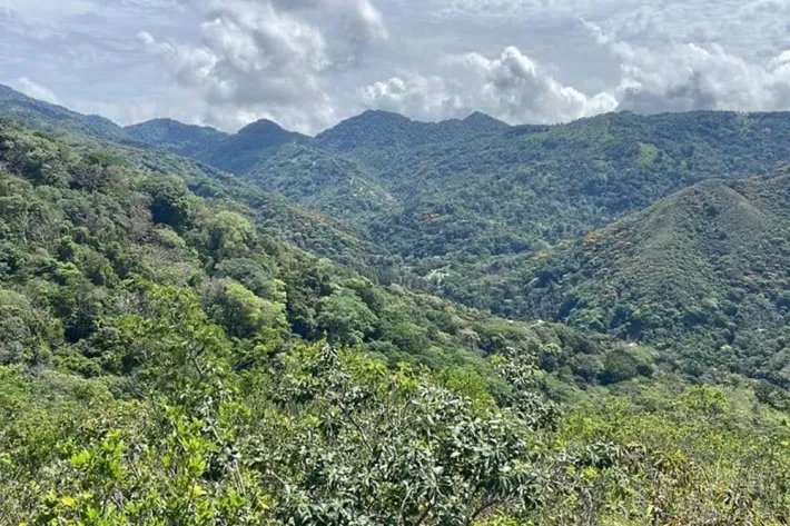 Se venden 10 hectareas en bella vista Penonome