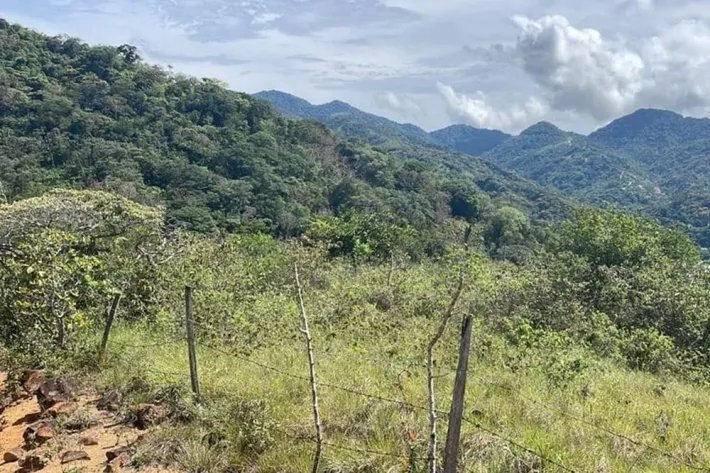 Se venden 10 hectareas en bella vista Penonome