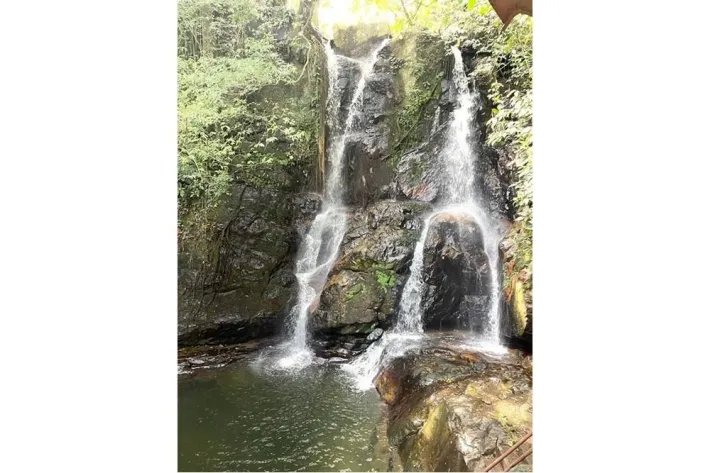 Se venden 10 hectareas en bella vista Penonome