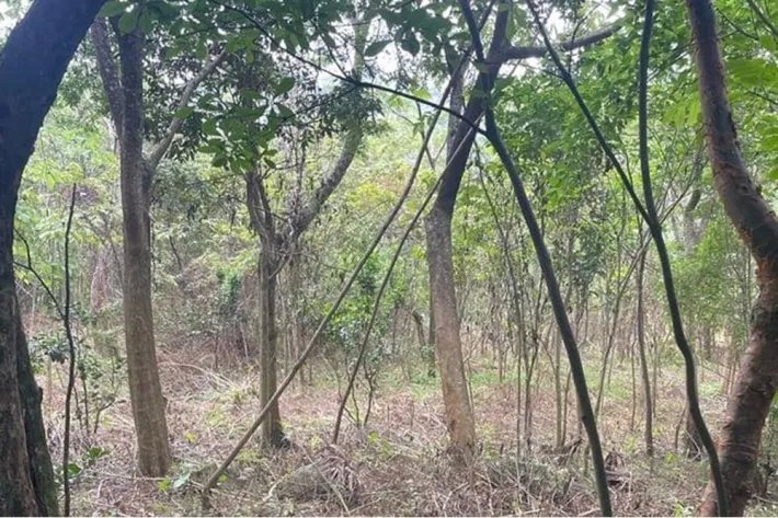 For sale 10 hectares in bella vista Penonome