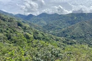 Se venden 10 hectareas en bella vista Pe...