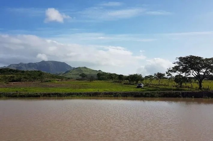 Se vende finca en Penonomé, Coclé