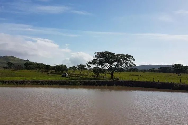 Se vende finca en Penonomé, Coclé