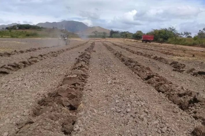 Se vende finca en Penonomé, Coclé