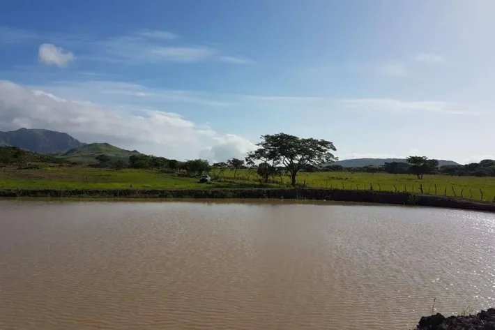 Se vende finca en Penonomé, Coclé