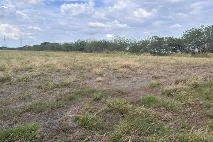 Farm for sale in front of the Pan-American Highway in Antón, Coclé