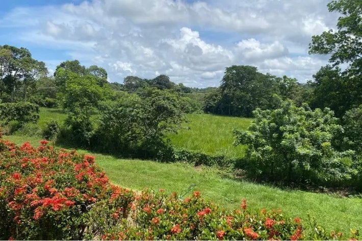 Venta de terreno en Nuevo Emperador, Arraiján, Panama