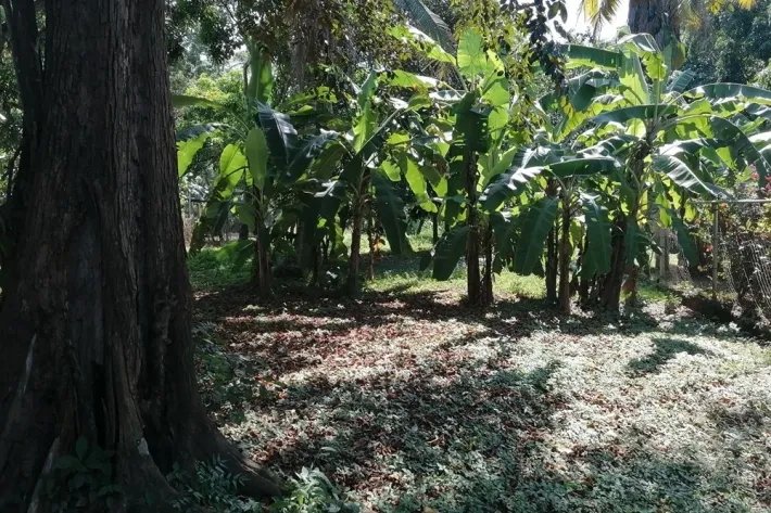 Se vende casa unifamiliar con terreno en Chitré, Herrera