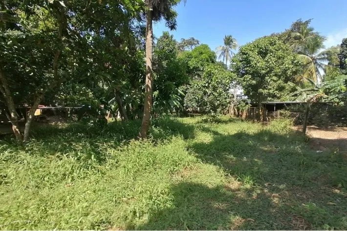 Single family house for sale with big land in Chitre, Herrera