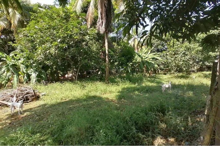Single family house for sale with big land in Chitre, Herrera