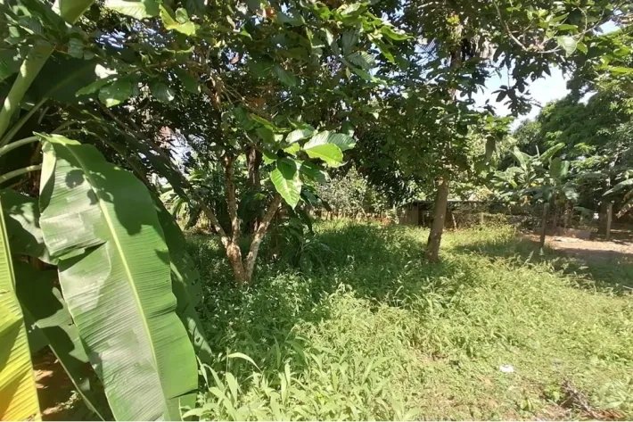 Single family house for sale with big land in Chitre, Herrera