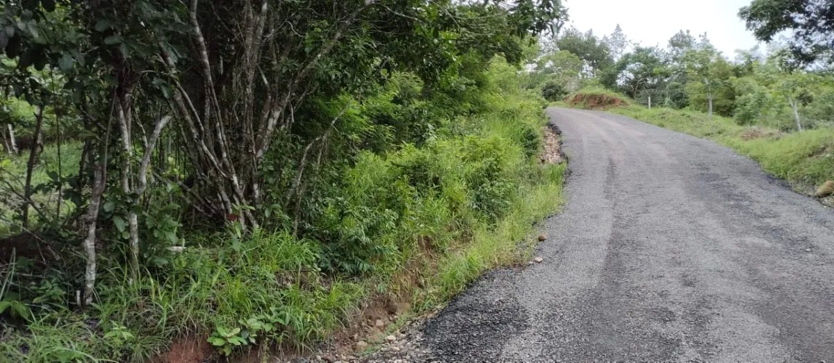 Unimproved Land For Sale in Santa Cruz
