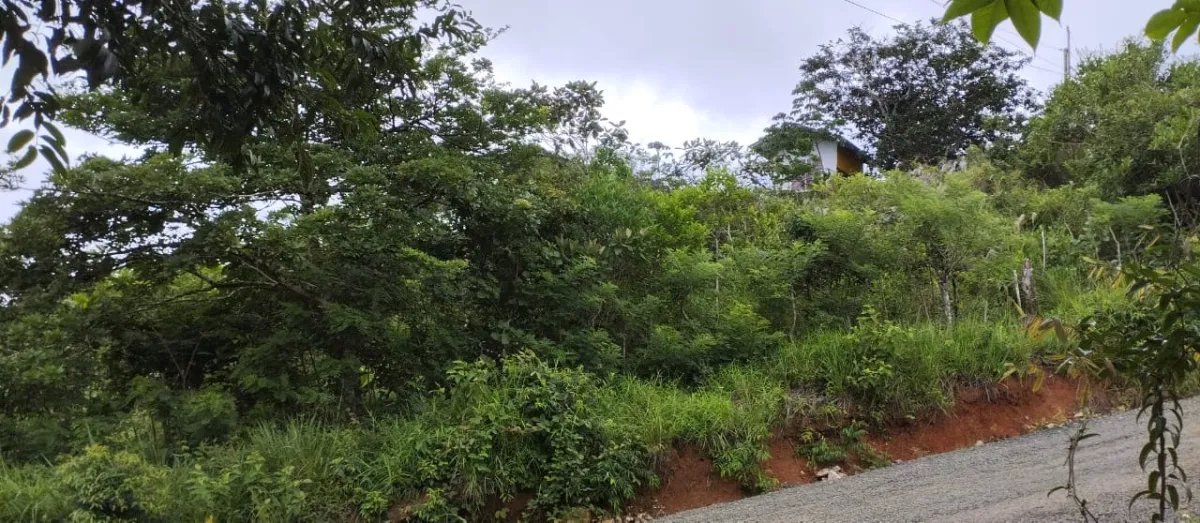 Unimproved Land For Sale in Santa Cruz
