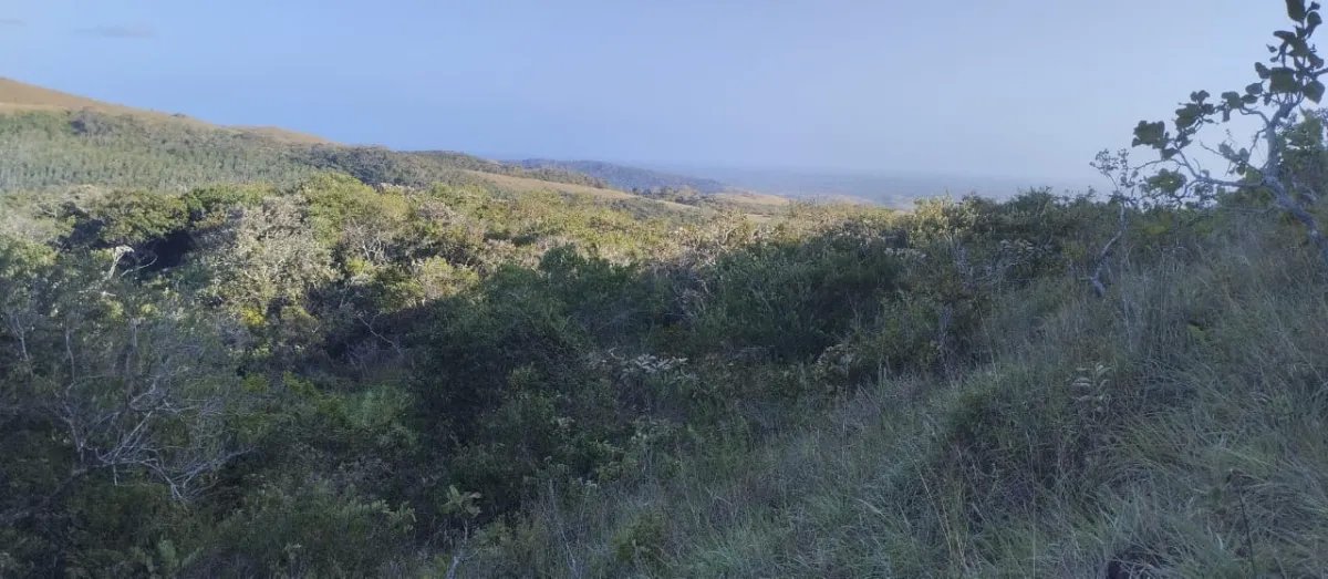 Unimproved Land For Sale in Santa Cruz