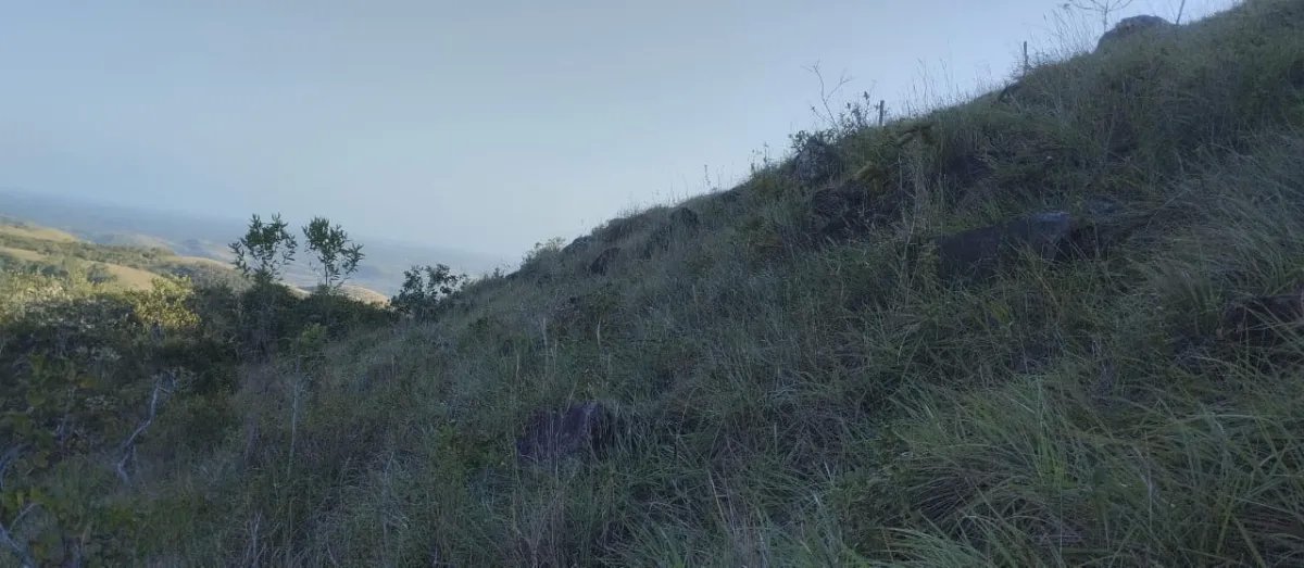 Unimproved Land For Sale in Santa Cruz