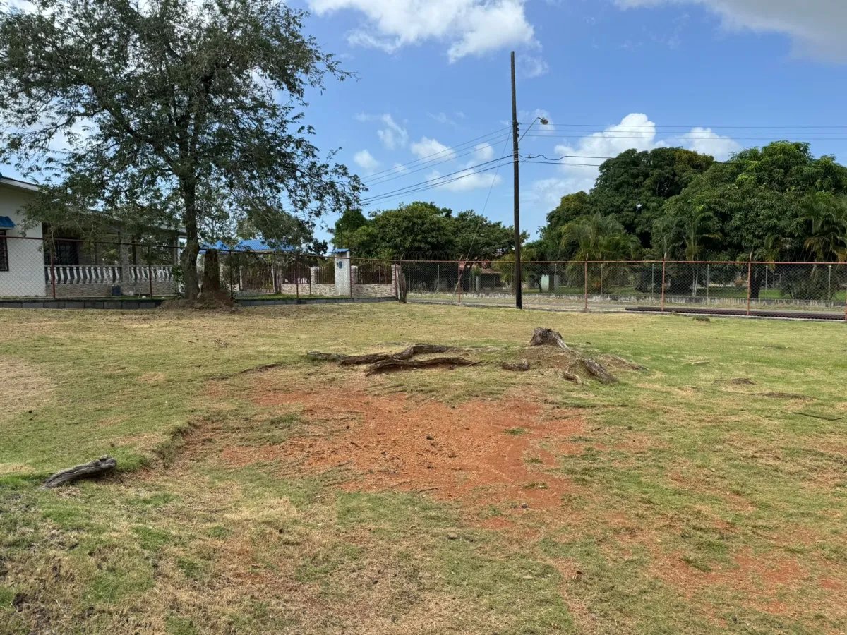 Se vende lote en la Mitra, La Chorrera