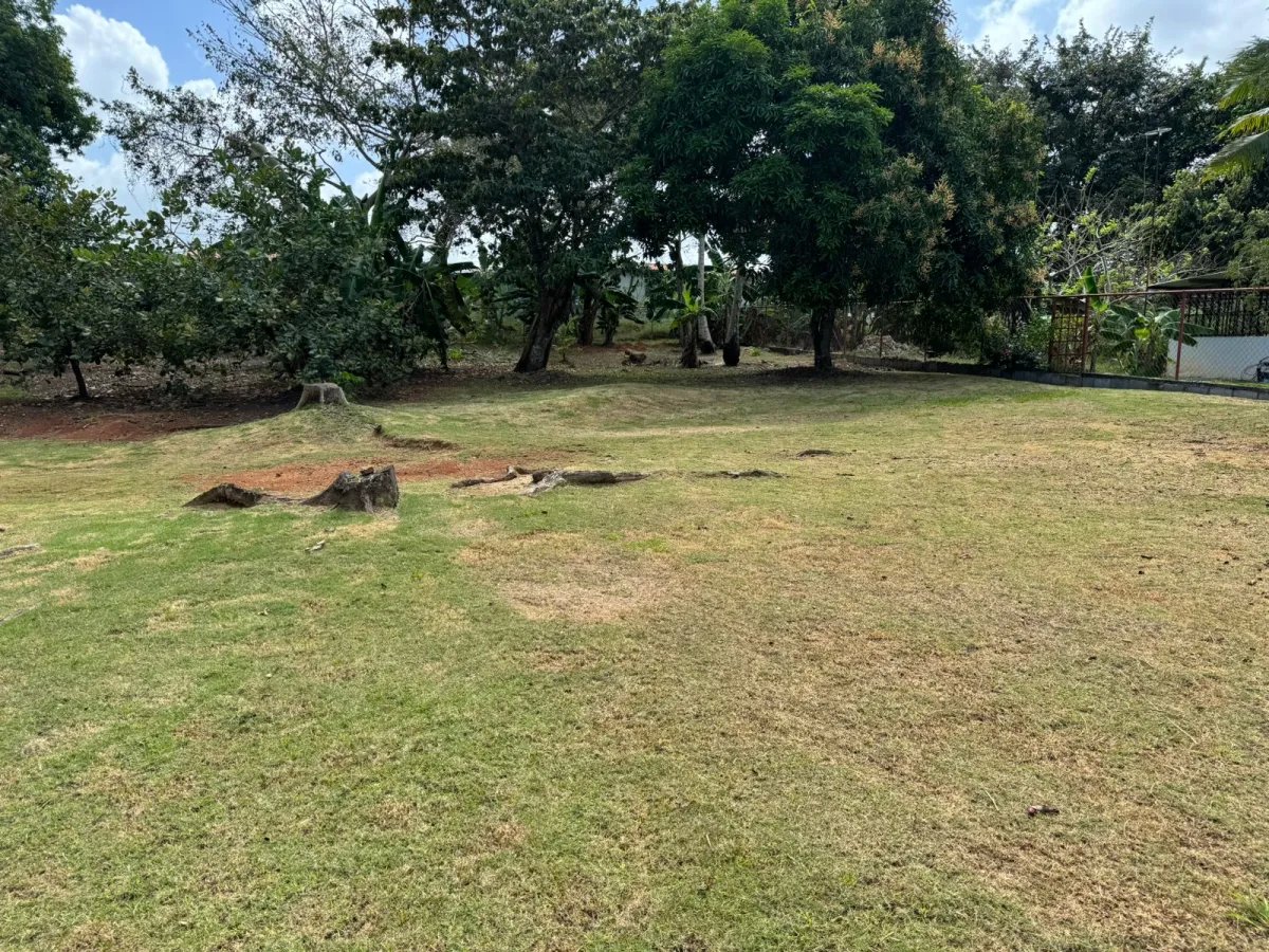 Se vende lote en la Mitra, La Chorrera