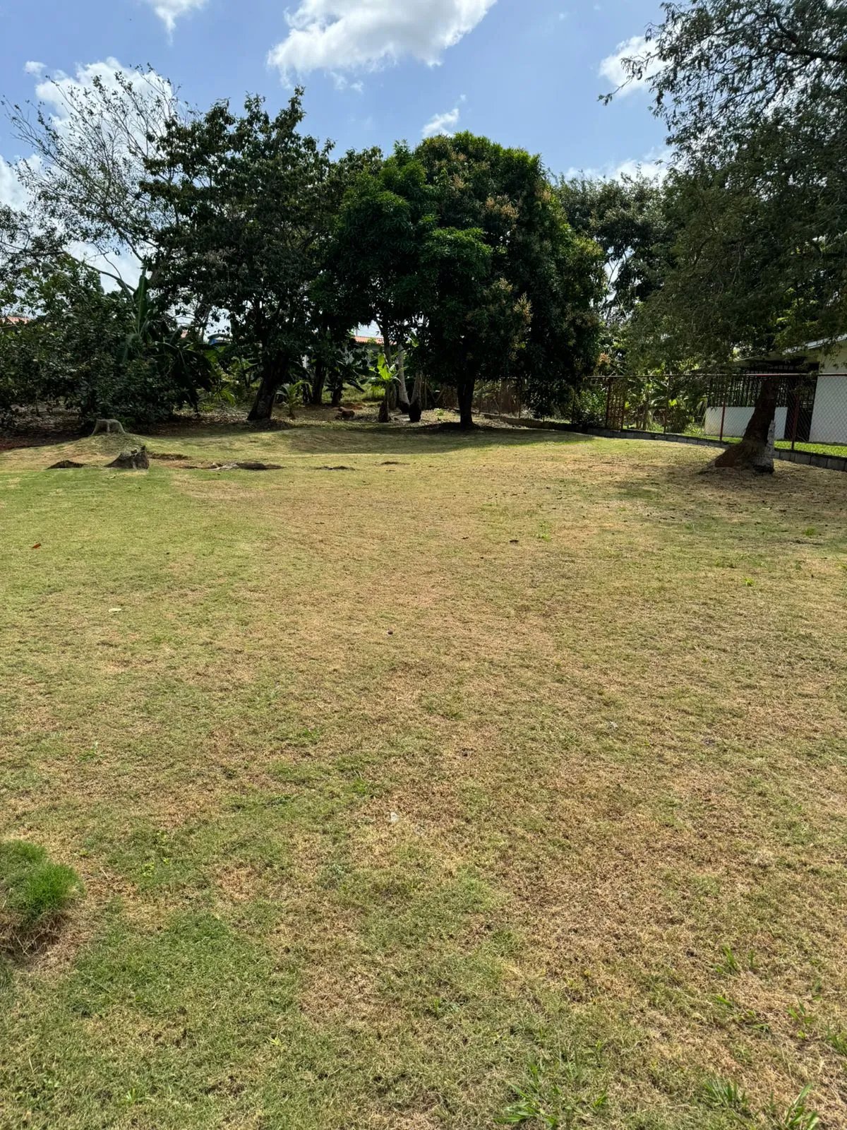 Se vende lote en la Mitra, La Chorrera