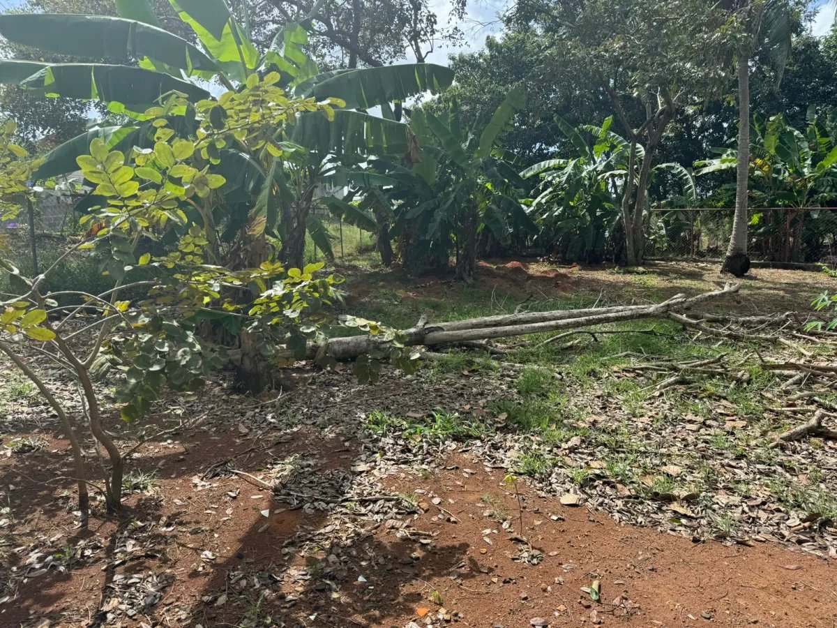 Se vende lote en la Mitra, La Chorrera