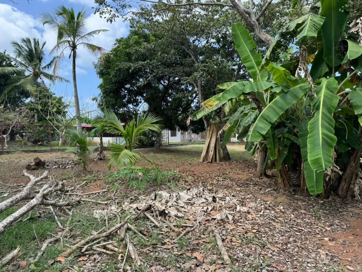 Se vende lote en la Mitra, La Chorrera