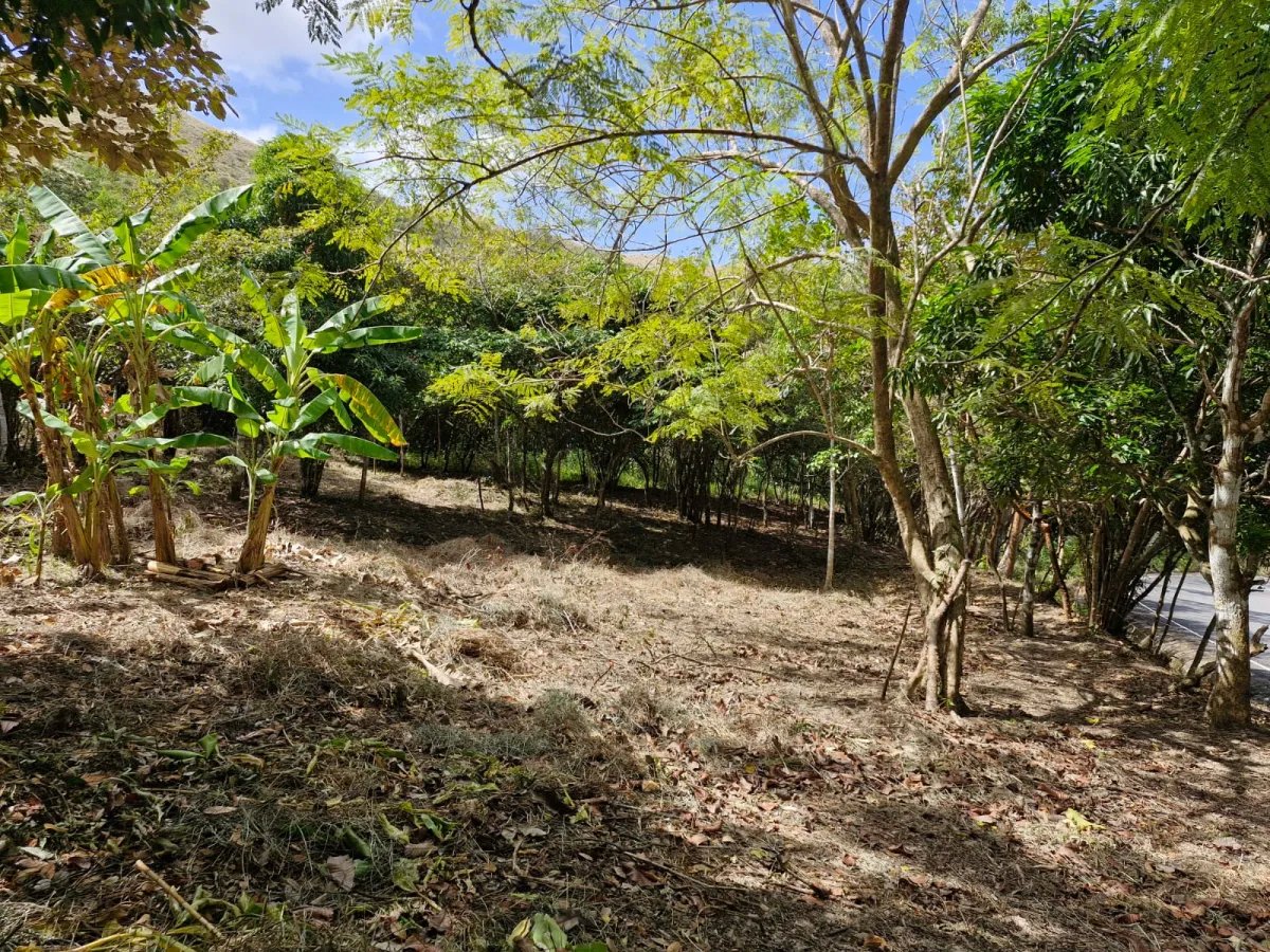 Ranch For Sale in Penonomé