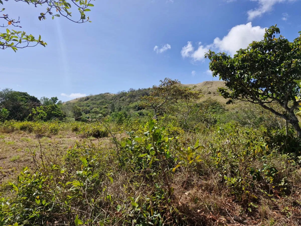 Ranch For Sale in Penonomé