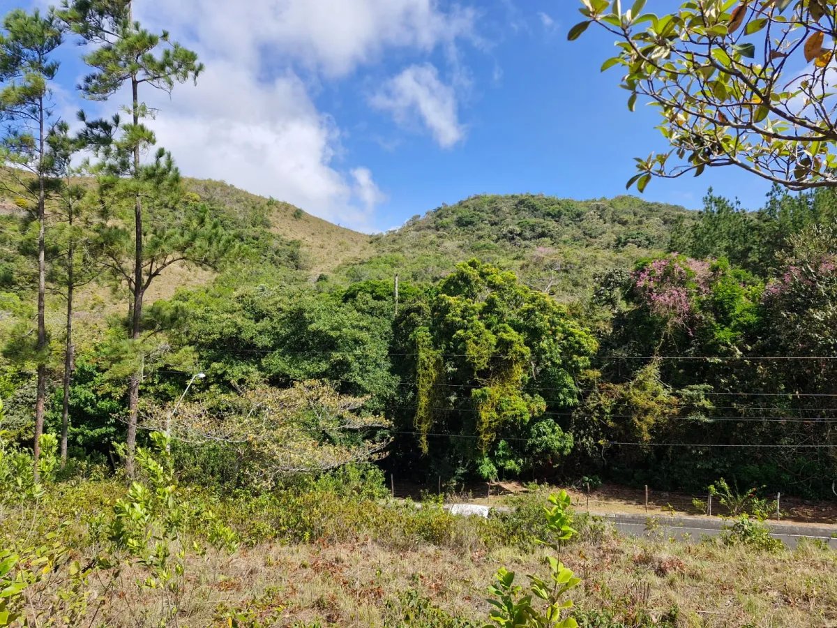 Ranch For Sale in Penonomé