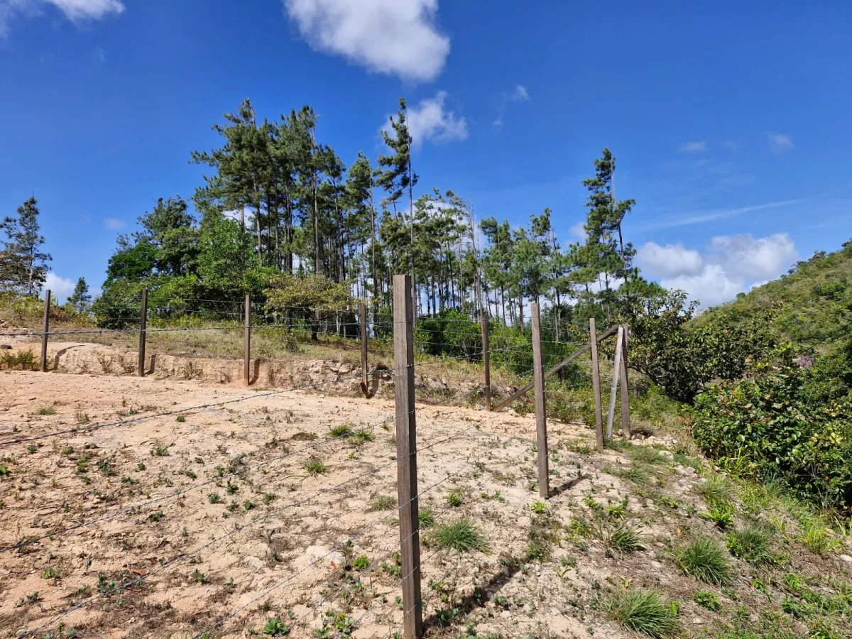 Ranch For Sale in Penonomé