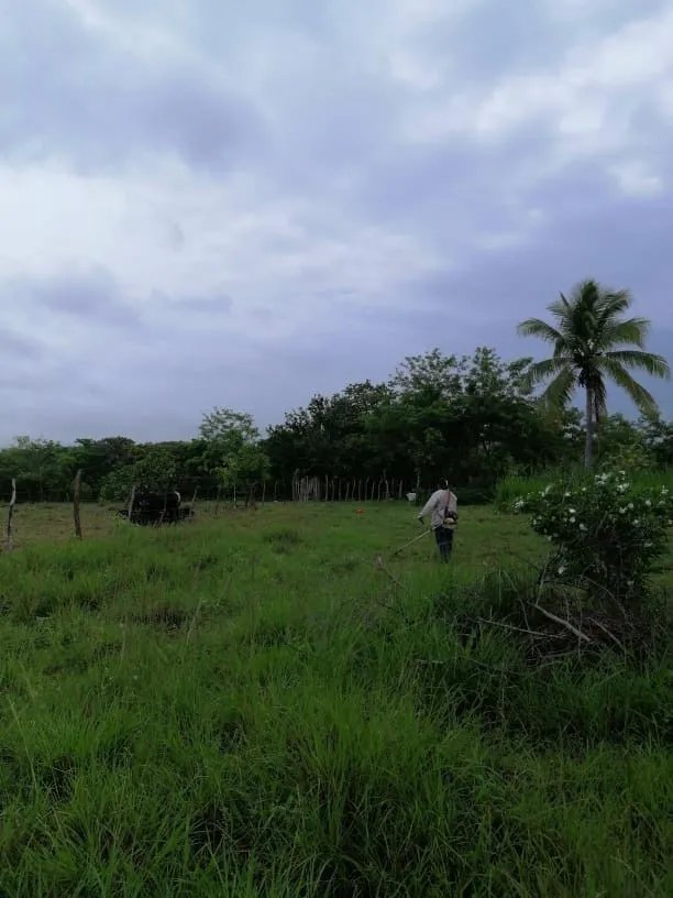 Unimproved Land For Sale in Terreno en Miraflores, Penonomé, Coclé, Pa...