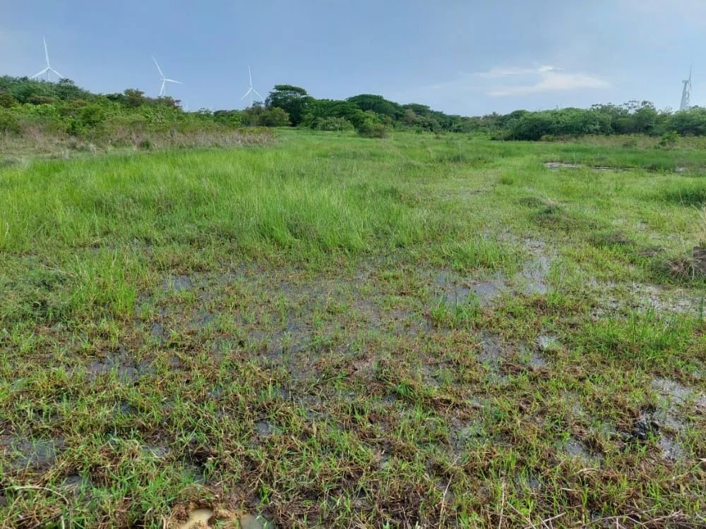 Unimproved Land For Sale in Terreno en Miraflores, Penonomé, Coclé, Pa...