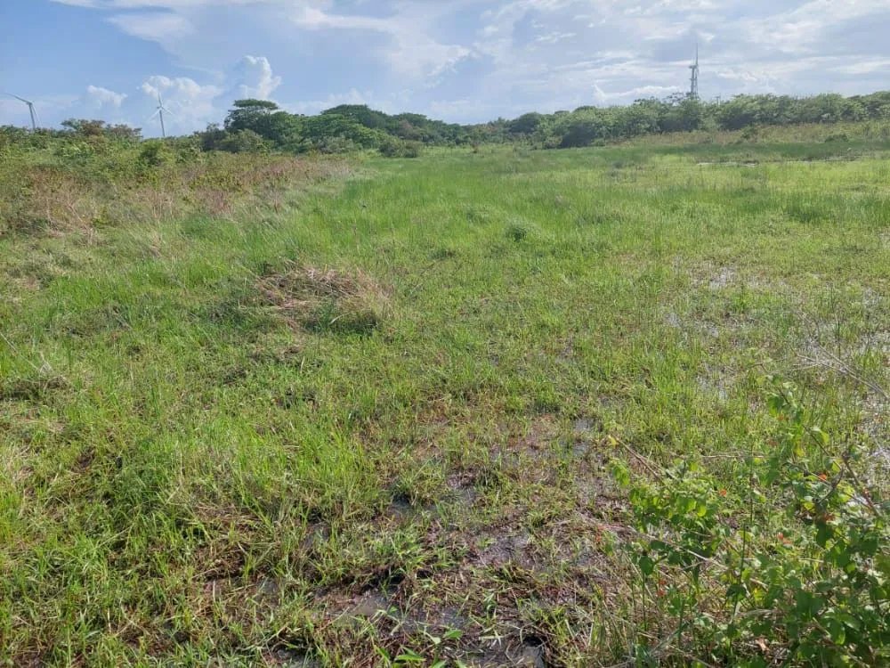 REMATE DE TERRENO EN PENONOME IDEAL PARA BARRIADAS