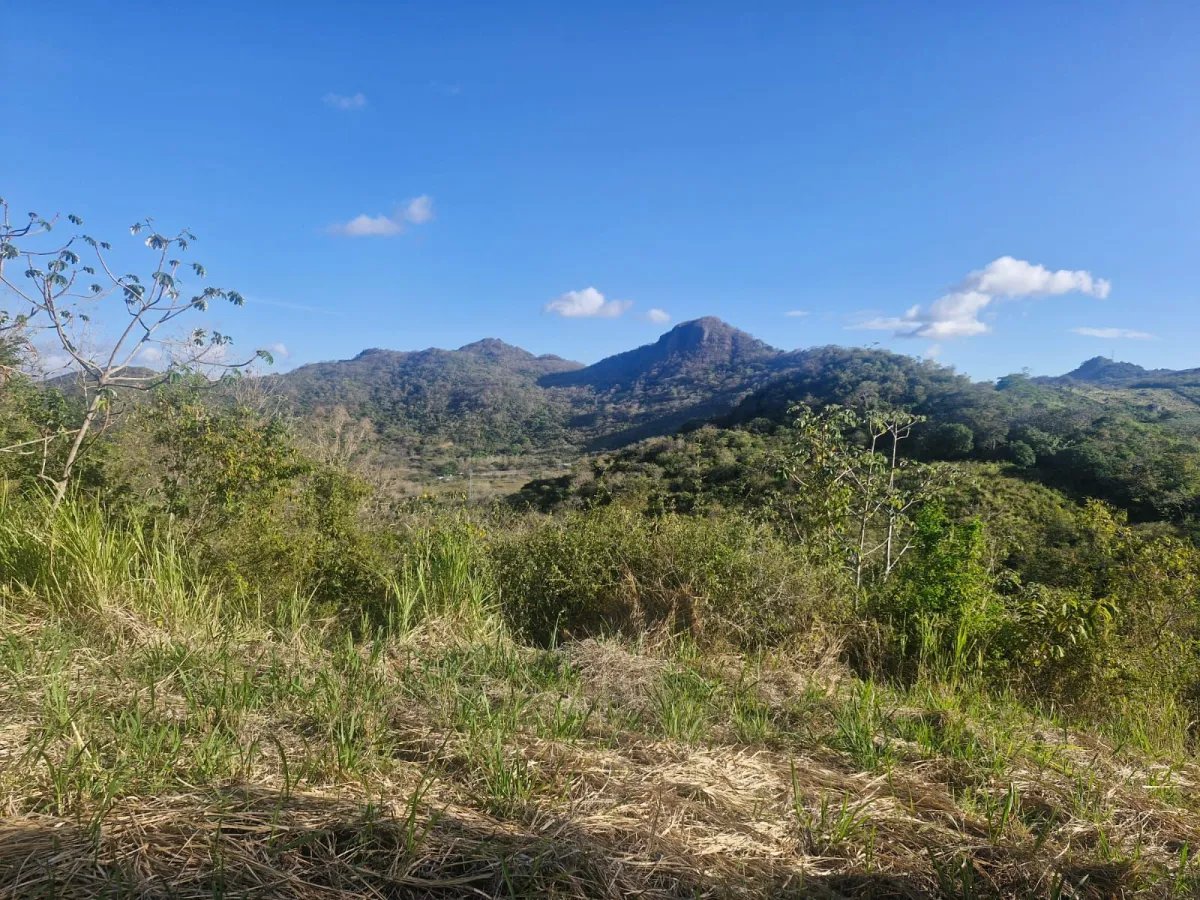 Finca de 5 hectáreas a 5 minutos del centro de La Pintada - Ganga en $...