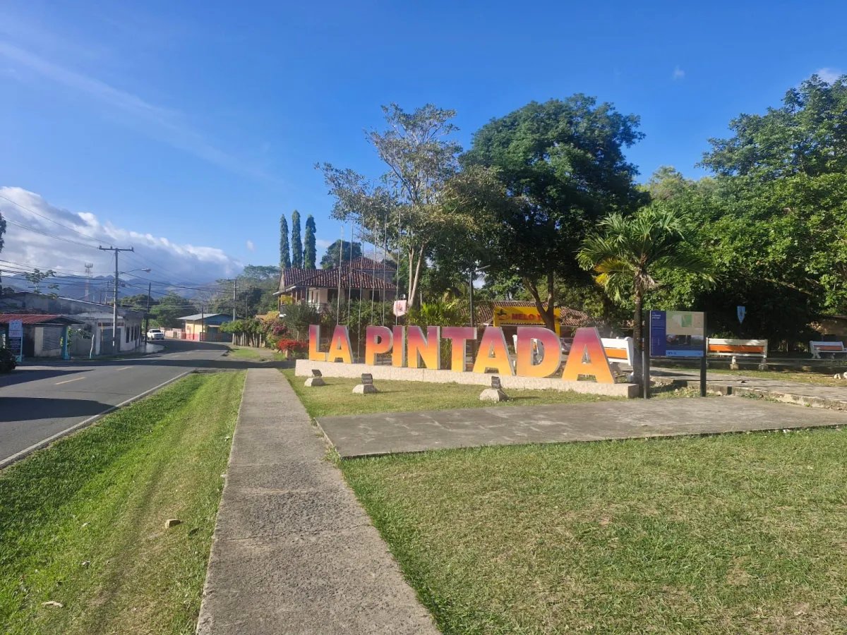 Finca de 5 hectáreas a 5 minutos del centro de La Pintada - Ganga en $...