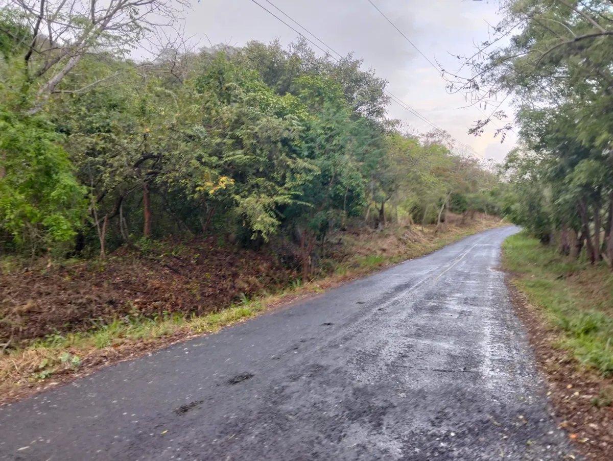 Finca de 5 hectáreas a 5 minutos del centro de La Pintada - Ganga en $...