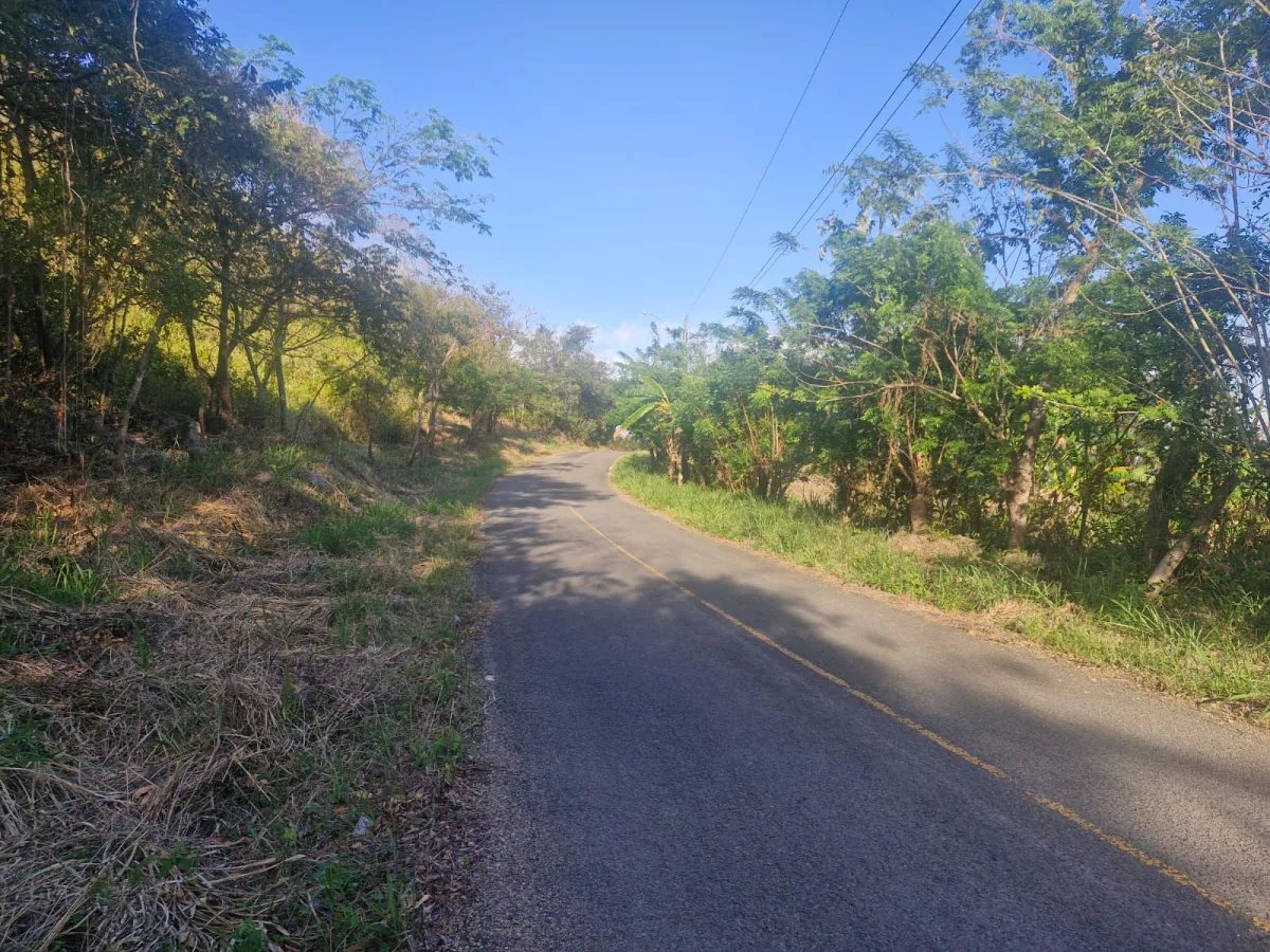 5-hectare Farm 5 minutes from downtown La Pintada - Steal at $85,000.