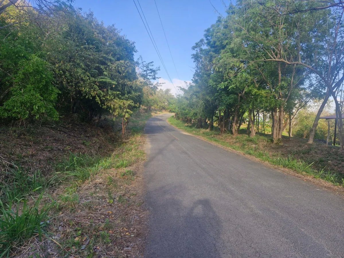 5-hectare Farm 5 minutes from downtown La Pintada - Steal at $85,000.
