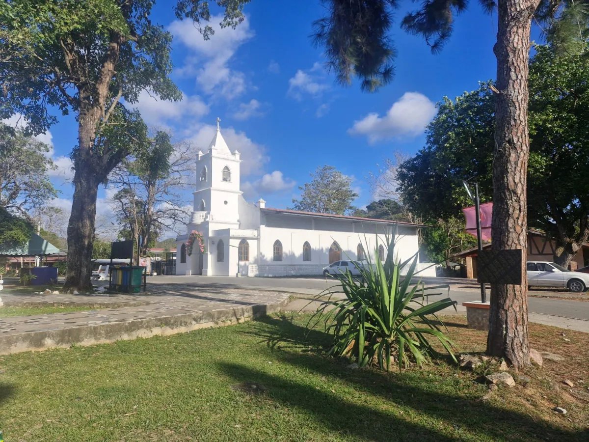 5-hectare Farm 5 minutes from downtown La Pintada - Steal at $85,000.