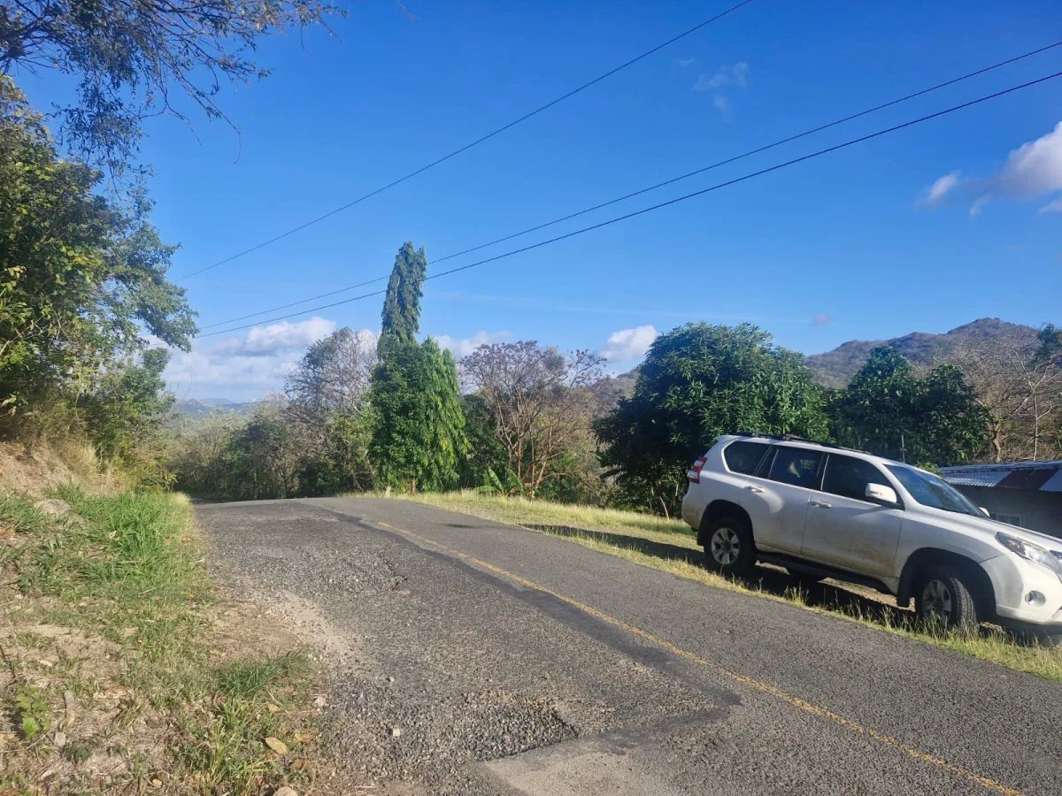 5-hectare Farm 5 minutes from downtown La Pintada - Steal at $85,000.