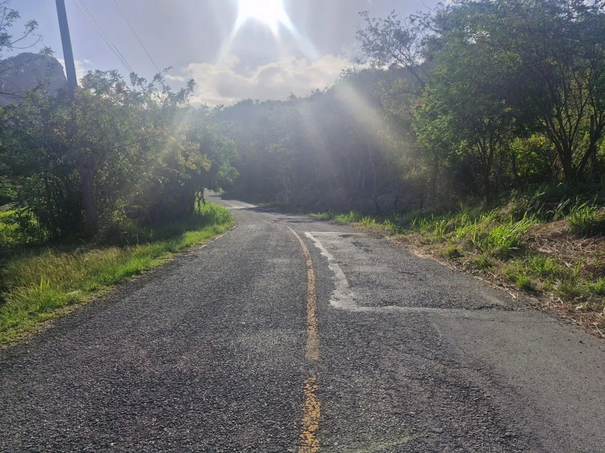 5-hectare Farm 5 minutes from downtown La Pintada - Steal at $85,000.