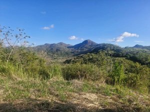 Finca de 5 hectáreas a 5 minutos del cen...