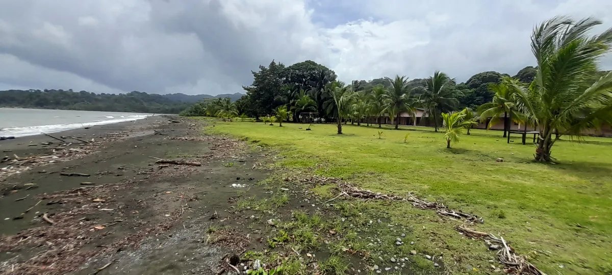 1.35-hectare titled beachfront estate in Playa Uvas, Portobelo  offer...