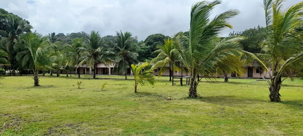 1.35-hectare titled beachfront estate in Playa Uvas, Portobelo  offer...